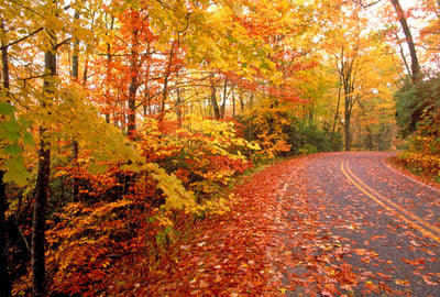 Fall-road-Smokies-NPS